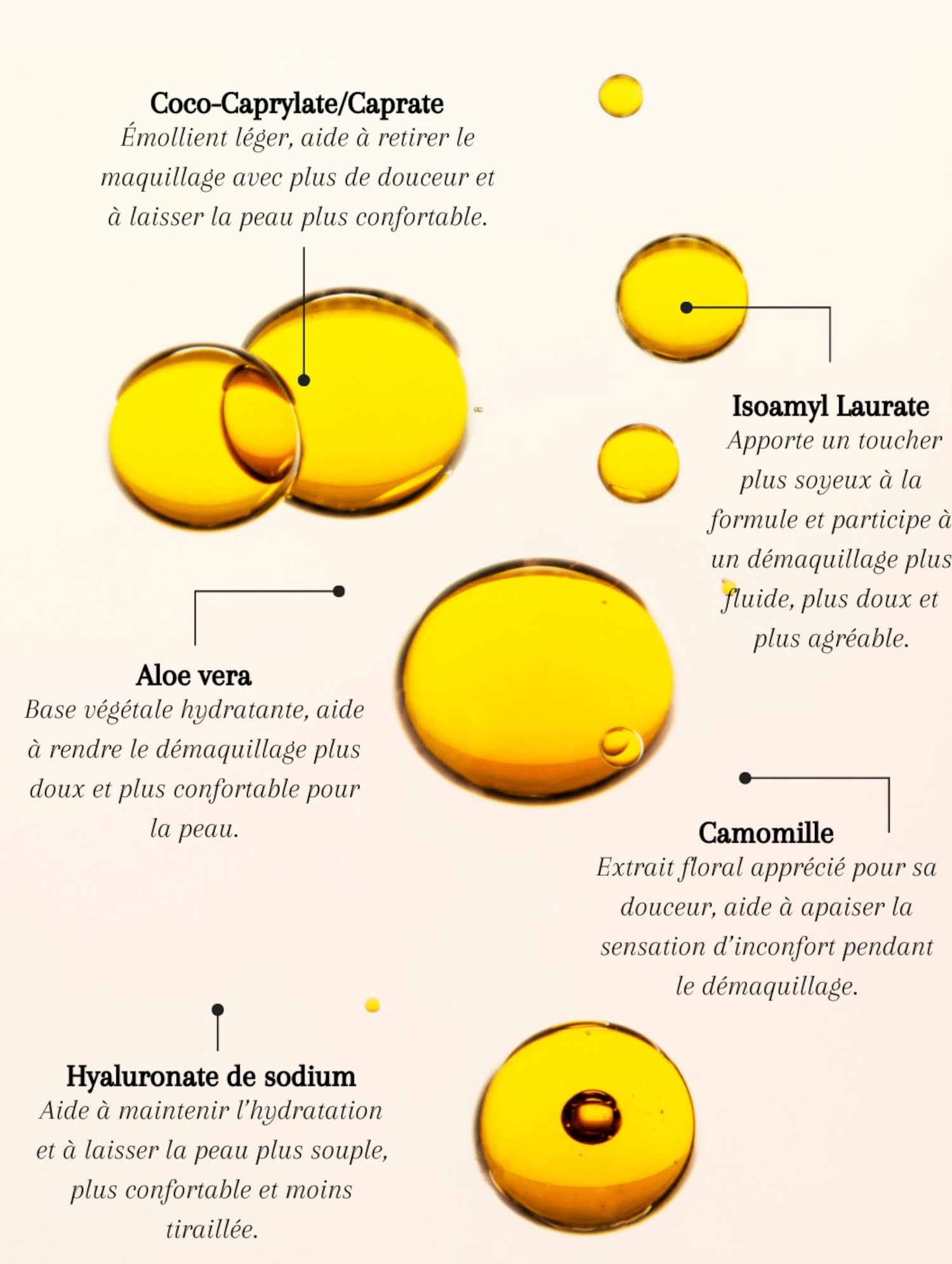 Actifs clés du démaquillant biphasé Seomse avec aloe vera, camomille, hyaluronate de sodium, Coco-Caprylate/Caprate et Isoamyl Laurate.