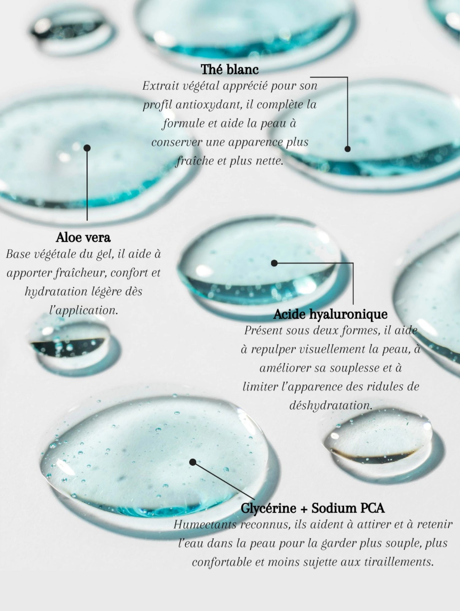 Visuel ingrédients clés du gel double hydratation Seomse avec acide hyaluronique, aloe vera, thé blanc et glycérine avec sodium PCA.