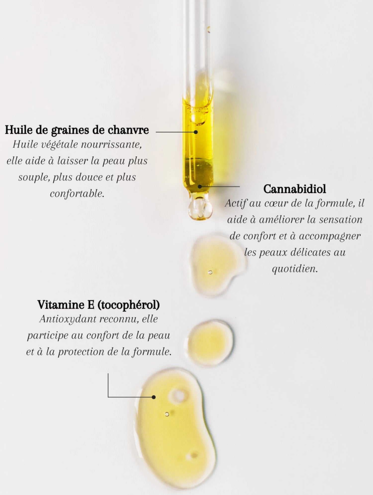Actifs clés de l’huile apaisante pour le visage Seomse avec huile de graines de chanvre, cannabidiol et vitamine E.