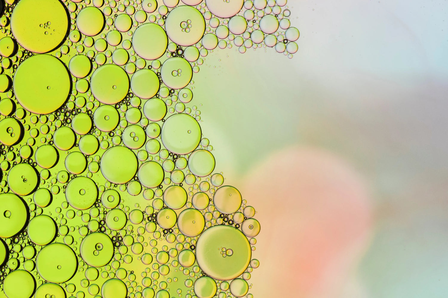 Macro de bulles huileuses illustrant la texture du démaquillant biphasé du pack peau sensible Seomse.