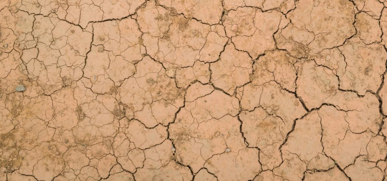 Sol craquelé, métaphore visuelle de peau sèche et peau déshydratée, manque d’hydratation et de confort.