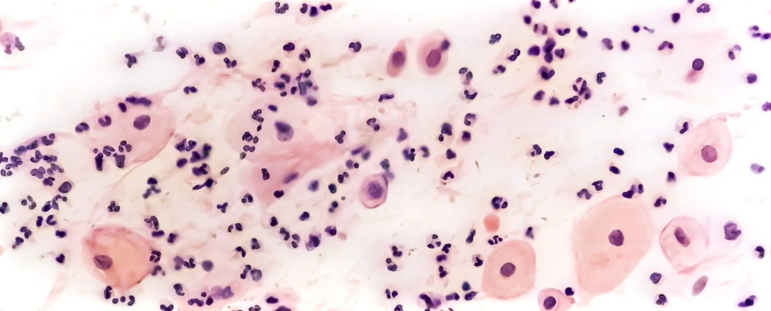 Microphotographie de cellules cutanées et particules, visuel “science de la peau” pour illustrer la peau réactive et les rougeurs.