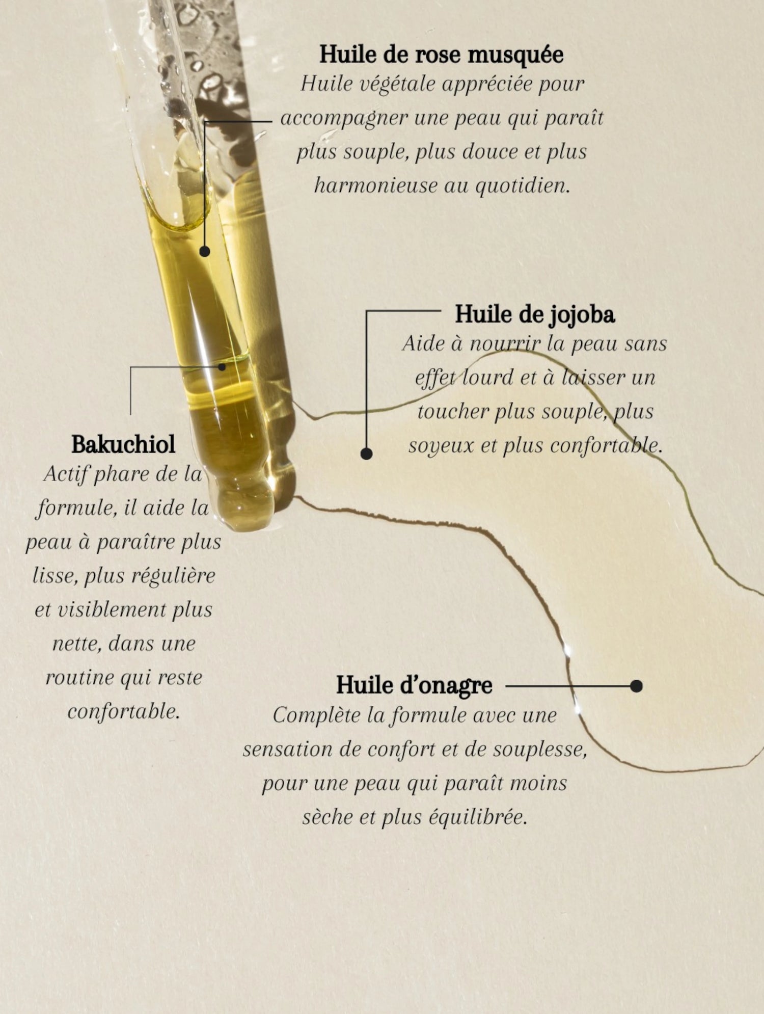 Visuel ingrédients clés du sérum bakuchiol Seomse avec bakuchiol, huile de rose musquée, huile de jojoba et huile d’onagre.