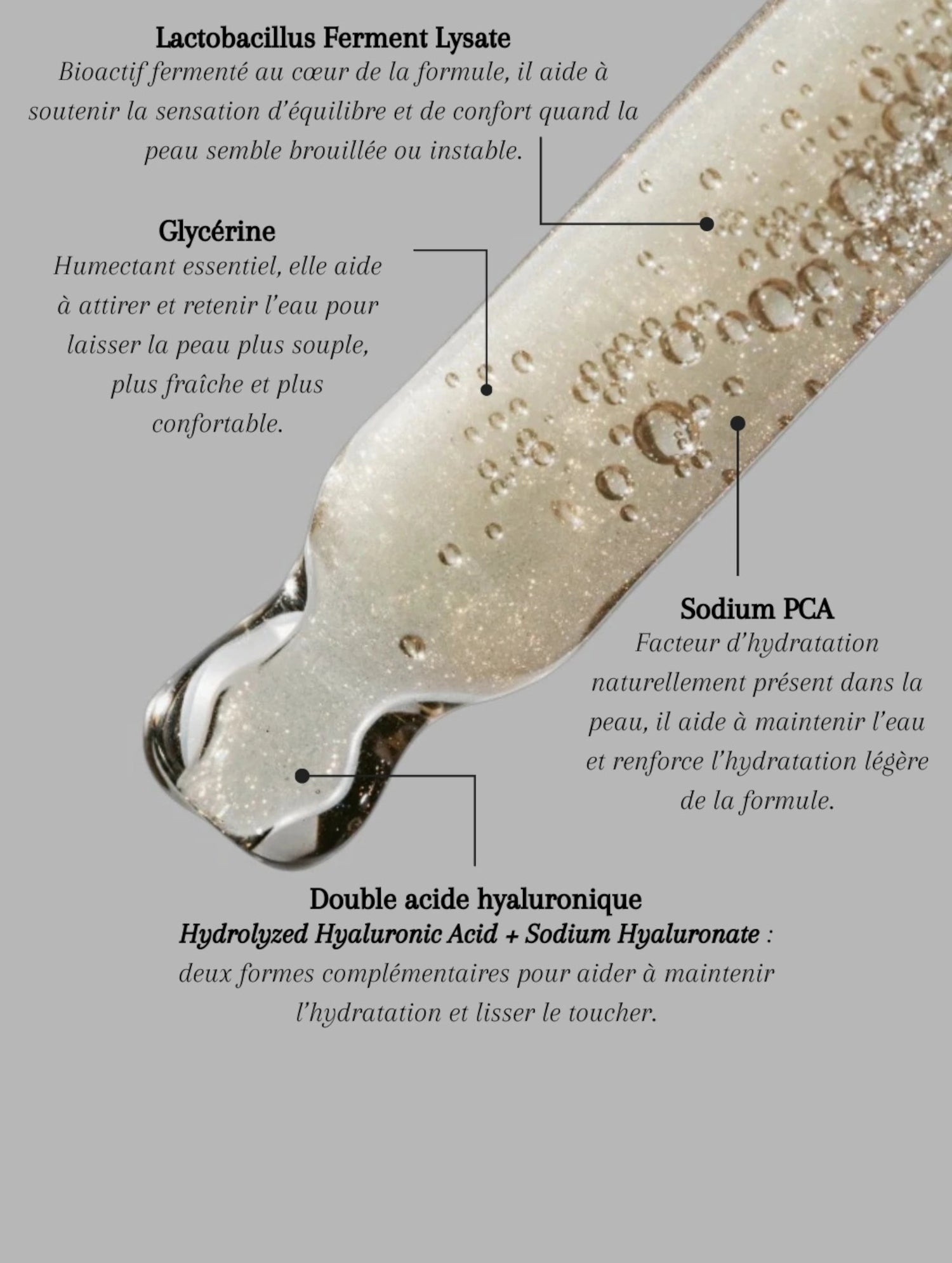 Infographie texture du sérum gelée aux prébiotiques bioactifs Seomse avec Lactobacillus Ferment Lysate, glycérine, Sodium PCA et double acide hyaluronique.